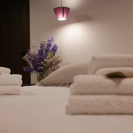 Castillo De Portilla 乡村民宿 *